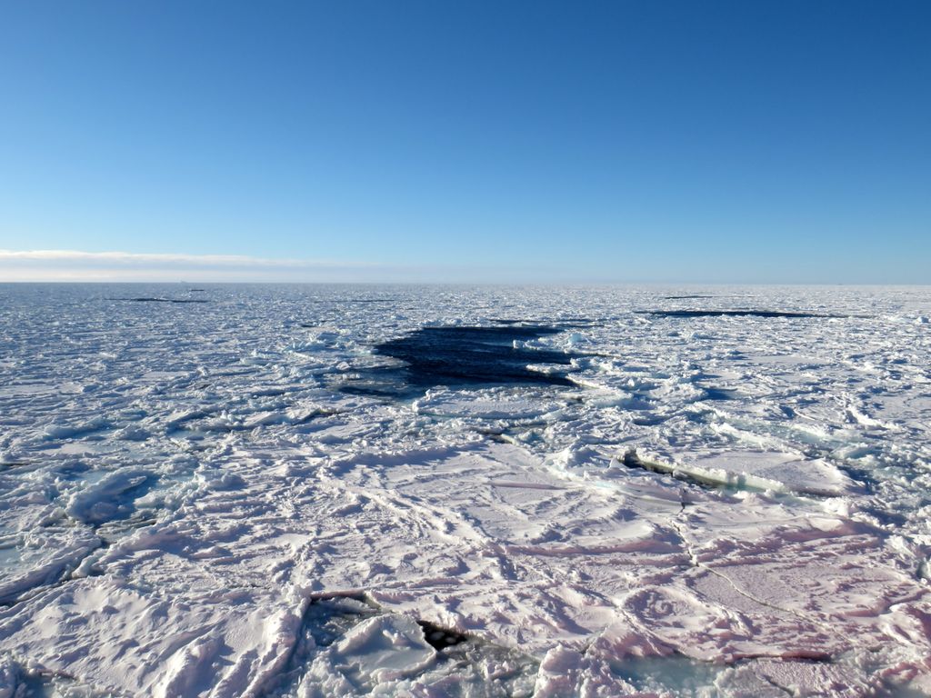 Expansive frozen landscape with sea ice under a bright clear sky, showcasing winter's extreme beauty.